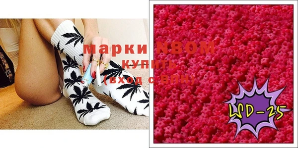 СК Покачи