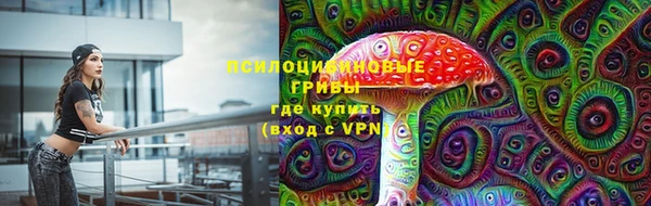 СК Покачи
