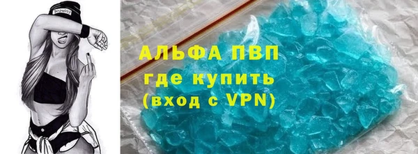 СК Покачи