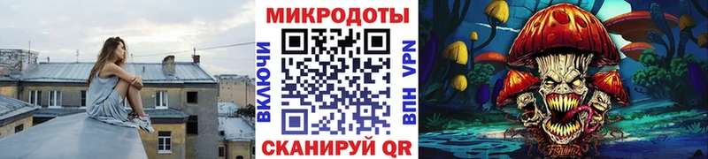 KRAKEN онион  Сусуман  Псилоцибиновые грибы мицелий 